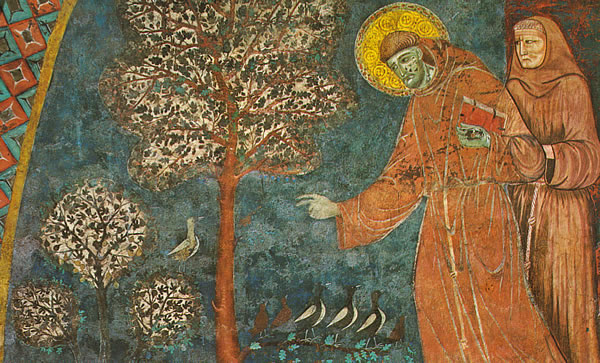 Sint Franciscus Sint Franciscus